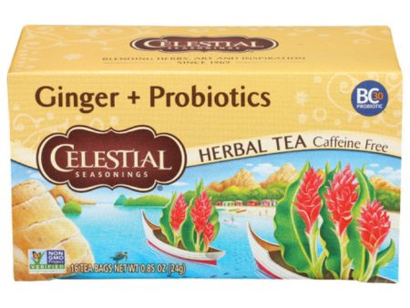 Celestial Seasonings - Herbal Tea Ginger Probiotics, 16 Bags (Pack of 6) Online Sale