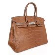 Hermes Diamond Birkin 35 Bag Fauve Barenia Matte Alligator Rare Online Hot Sale