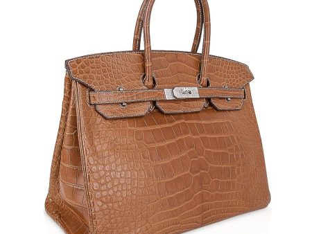 Hermes Diamond Birkin 35 Bag Fauve Barenia Matte Alligator Rare Online Hot Sale