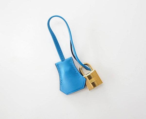 Hermes Birkin 25 Bag Blue Zanzibar Swift Gold Hardware New Sale