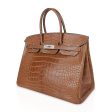 Hermes Diamond Birkin 35 Bag Fauve Barenia Matte Alligator Rare Online Hot Sale