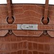 Hermes Diamond Birkin 35 Bag Fauve Barenia Matte Alligator Rare Online Hot Sale