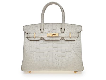 Hermes Birkin 30 Beton Matte Alligator Mississippiensis Gold Hardware For Cheap