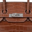 Hermes Diamond Birkin 35 Bag Fauve Barenia Matte Alligator Rare Online Hot Sale