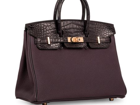 Hermes Birkin 25 Touch - Raisin Prunoir Togo Alligator For Discount