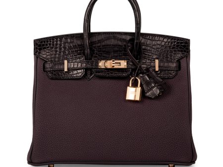 Hermes Birkin 25 Touch - Raisin Prunoir Togo Alligator Online Sale