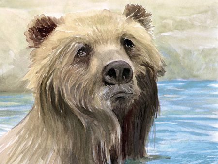 SDS802 - Bear Bath - 12x12 Hot on Sale