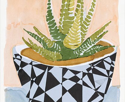 SDS723 - Geo Vase with Succulent - 12x16 Fashion