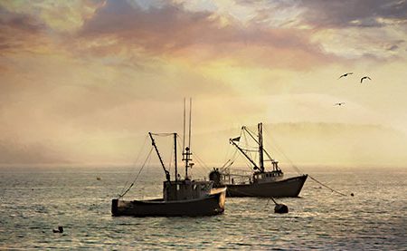 LD2725 - Bar Harbor Lobster Boats - 18x9 Sale